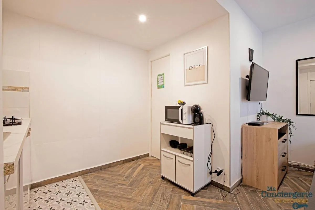 Grand Studio Avec Espace De Travail Toulouse 0*,