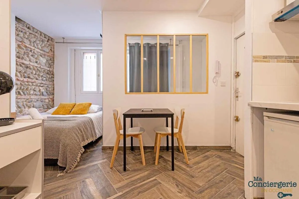 Grand Studio Avec Espace De Travail Toulouse 0*,  France