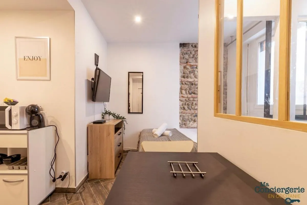 Apartment Grand Studio Avec Espace De Travail Toulouse